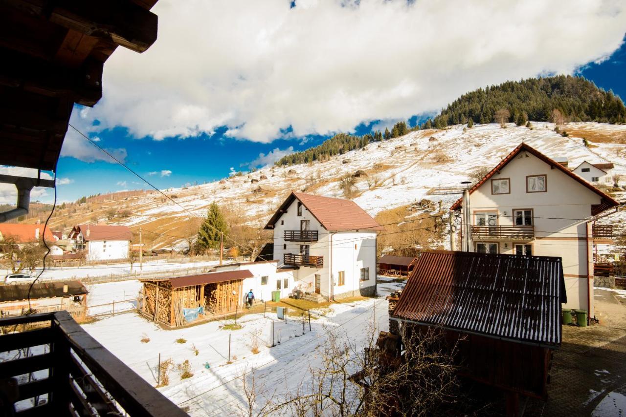 Vila Moecel Moeciu De Sus Extérieur photo
